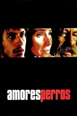 Amores Perros